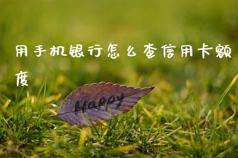用手机银行怎么查信用卡额度_https://wap.yjjixie.cn_港股行情_第1张