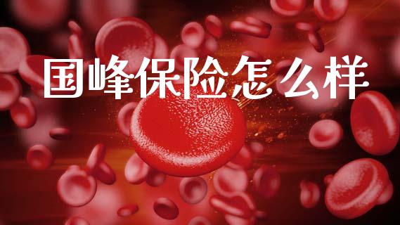 国峰保险怎么样_https://wap.yjjixie.cn_证券市场_第1张