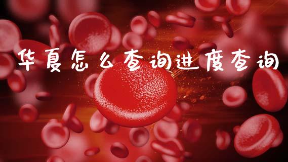 华夏怎么查询进度查询_https://wap.yjjixie.cn_港股行情_第1张