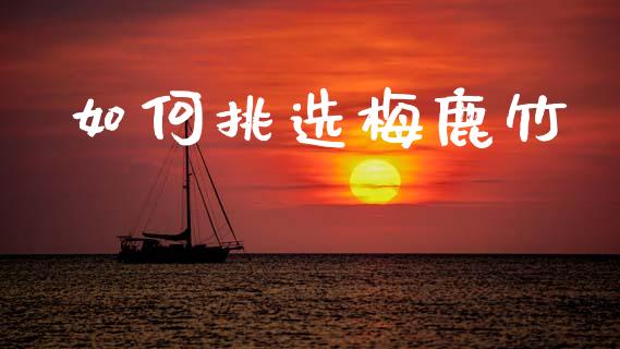 如何挑选梅鹿竹_https://wap.yjjixie.cn_证券市场_第1张