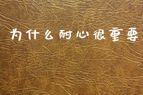 为什么耐心很重要_https://wap.yjjixie.cn_证券市场_第1张