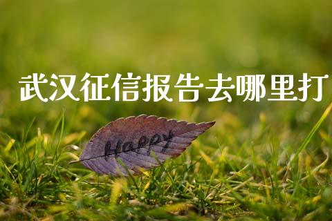 武汉征信报告去哪里打_https://wap.yjjixie.cn_保险理财_第1张
