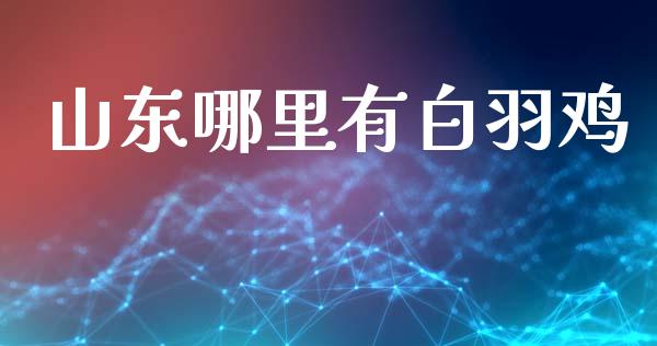 山东哪里有白羽鸡_https://wap.yjjixie.cn_港股行情_第1张