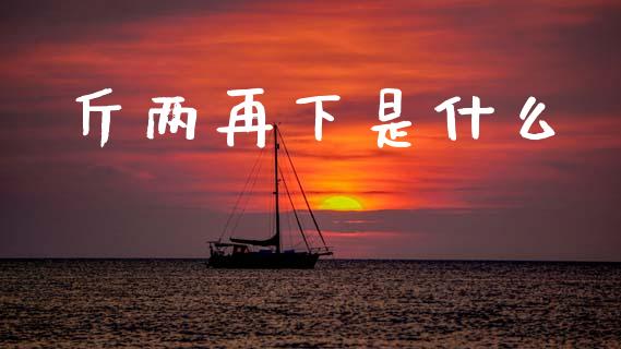 斤两再下是什么_https://wap.yjjixie.cn_商业资讯_第1张