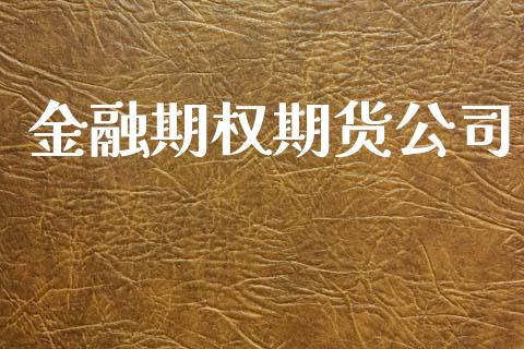 金融期权期货公司_https://wap.yjjixie.cn_保险理财_第1张