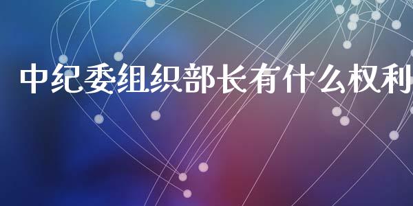中纪委组织部长有什么权利_https://wap.yjjixie.cn_港股行情_第1张