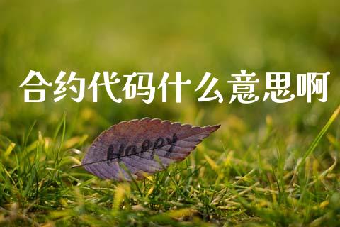 合约代码什么意思啊_https://wap.yjjixie.cn_港股行情_第1张