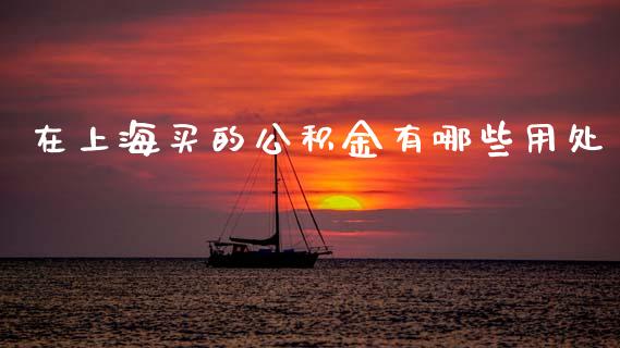 在上海买的公积金有哪些用处_https://wap.yjjixie.cn_保险理财_第1张