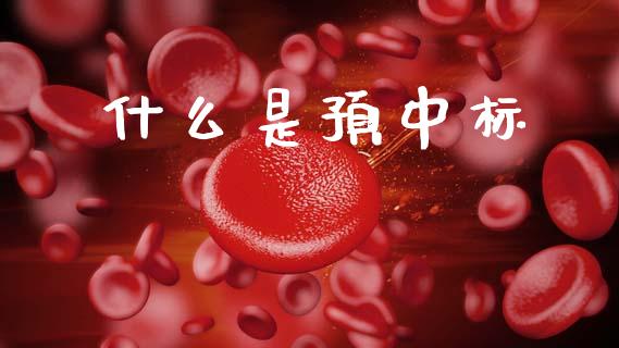 什么是预中标_https://wap.yjjixie.cn_商业资讯_第1张