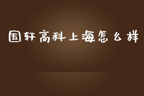国轩高科上海怎么样_https://wap.yjjixie.cn_港股行情_第1张