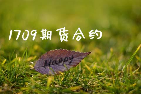 1709期货合约_https://wap.yjjixie.cn_证券市场_第1张