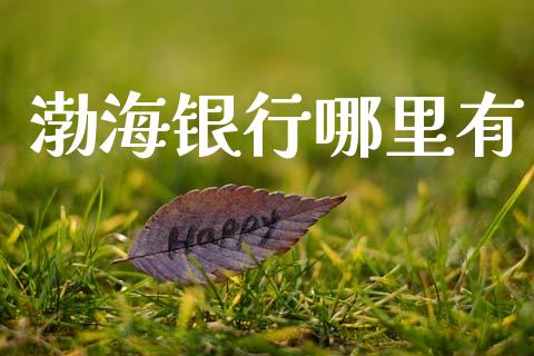 渤海银行哪里有_https://wap.yjjixie.cn_港股行情_第1张
