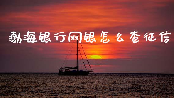 渤海银行网银怎么查征信_https://wap.yjjixie.cn_保险理财_第1张