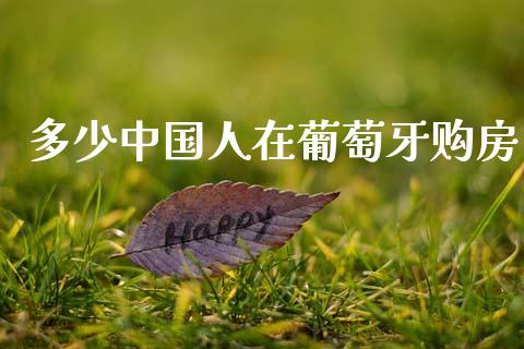 多少中国人在葡萄牙购房_https://wap.yjjixie.cn_商业资讯_第1张