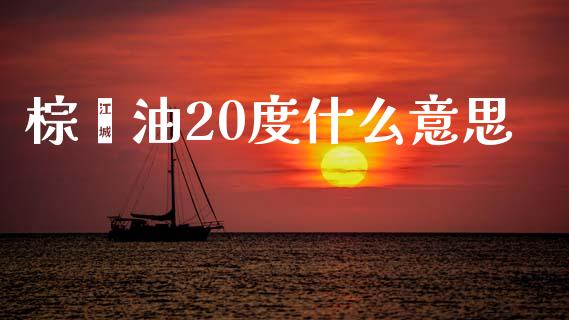 棕榈油20度什么意思_https://wap.yjjixie.cn_保险理财_第1张