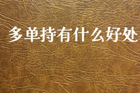 多单持有什么好处_https://wap.yjjixie.cn_商业资讯_第1张