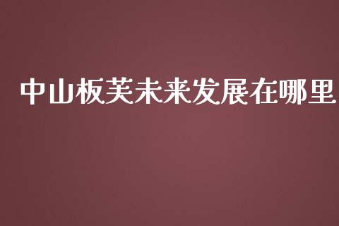 中山板芙未来发展在哪里_https://wap.yjjixie.cn_商业资讯_第1张