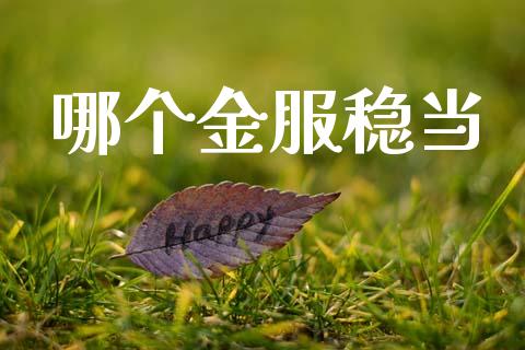 哪个金服稳当_https://wap.yjjixie.cn_商业资讯_第1张