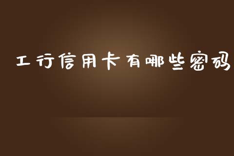 工行信用卡有哪些密码_https://wap.yjjixie.cn_商业资讯_第1张