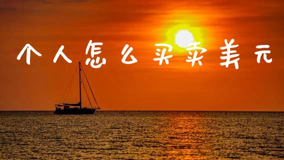 个人怎么买卖美元_https://wap.yjjixie.cn_保险理财_第1张