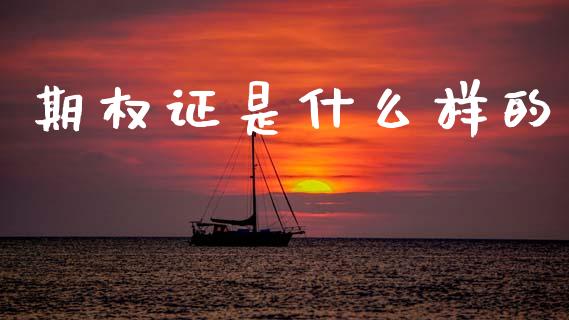 期权证是什么样的_https://wap.yjjixie.cn_证券市场_第1张