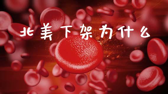 北美下架为什么_https://wap.yjjixie.cn_保险理财_第1张