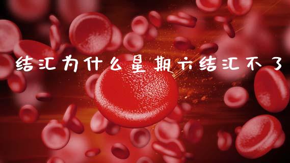 结汇为什么星期六结汇不了_https://wap.yjjixie.cn_商业资讯_第1张