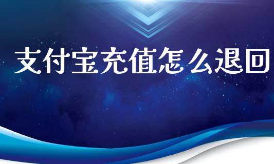 支付宝充值怎么退回_https://wap.yjjixie.cn_保险理财_第1张