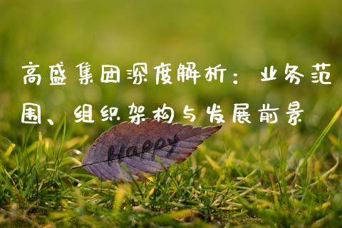 高盛集团深度解析:业务范围、组织架构与发展前景_商业资讯_第1张_商业资讯_保险理财_证券市场_港股行情 高盛集团深度解析:业务范围、组织架构与发展前景_https://wap.yjjixie.cn_商业资讯_第1张