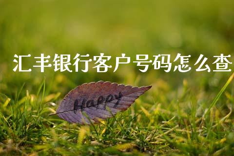 汇丰银行客户号码怎么查_https://wap.yjjixie.cn_商业资讯_第1张