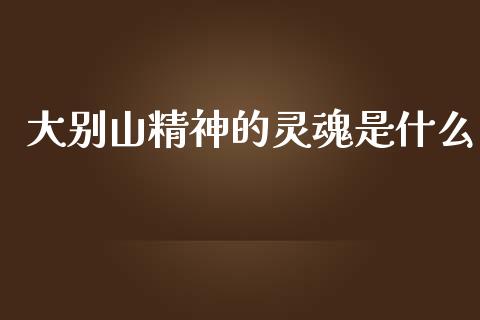 大别山精神的灵魂是什么_https://wap.yjjixie.cn_港股行情_第1张