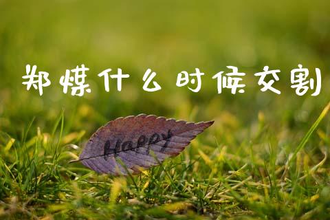 郑煤什么时候交割_https://wap.yjjixie.cn_证券市场_第1张