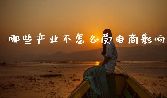哪些产业不怎么受电商影响_https://wap.yjjixie.cn_保险理财_第1张