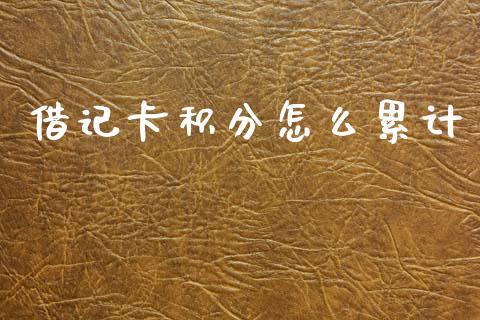 借记卡积分怎么累计_https://wap.yjjixie.cn_商业资讯_第1张