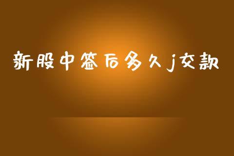 新股中签后多久j交款_https://wap.yjjixie.cn_证券市场_第1张