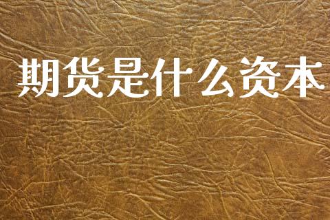 期货是什么资本_https://wap.yjjixie.cn_商业资讯_第1张
