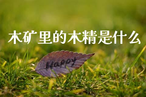 木矿里的木精是什么_https://wap.yjjixie.cn_保险理财_第1张
