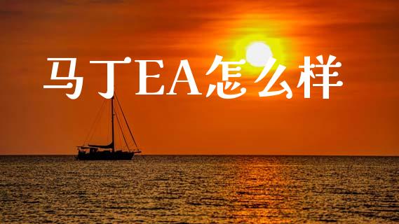 马丁EA怎么样_https://wap.yjjixie.cn_商业资讯_第1张