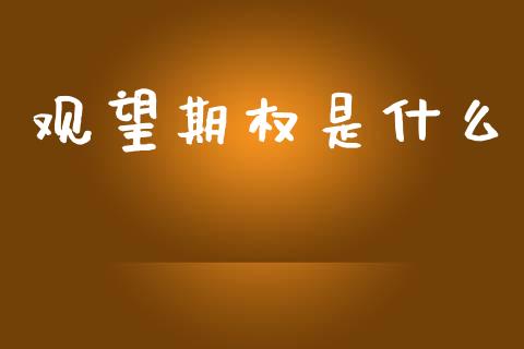 观望期权是什么_https://wap.yjjixie.cn_港股行情_第1张