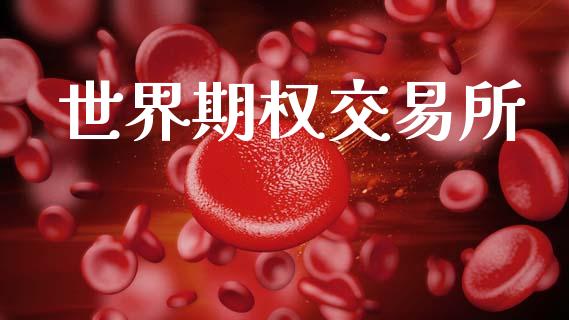 世界期权交易所_https://wap.yjjixie.cn_商业资讯_第1张