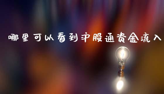 哪里可以看到沪股通资金流入_https://wap.yjjixie.cn_商业资讯_第1张