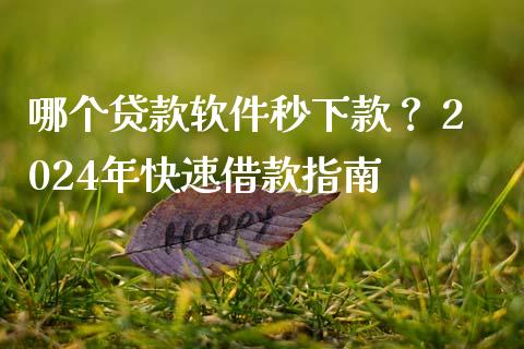 哪个贷款软件秒下款？ 2024年快速借款指南_https://wap.yjjixie.cn_商业资讯_第1张