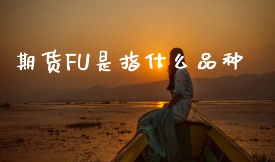 期货FU是指什么品种_https://wap.yjjixie.cn_保险理财_第1张