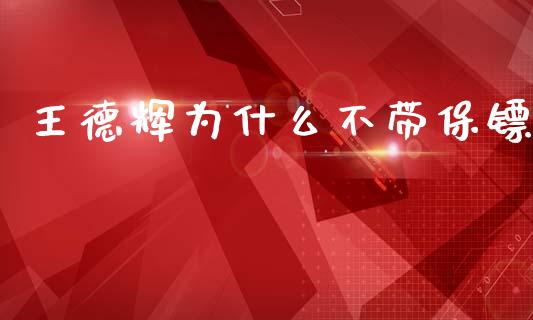 王德辉为什么不带保镖_https://wap.yjjixie.cn_港股行情_第1张