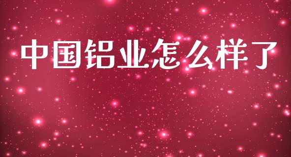 中国铝业怎么样了_https://wap.yjjixie.cn_保险理财_第1张