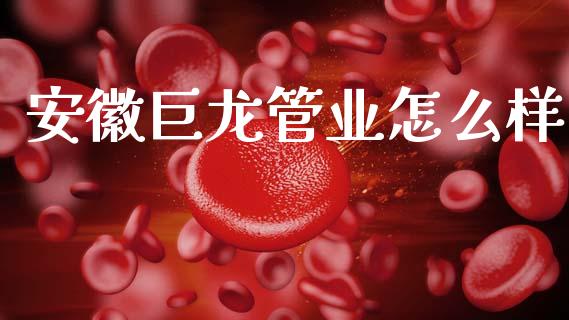 安徽巨龙管业怎么样_https://wap.yjjixie.cn_港股行情_第1张