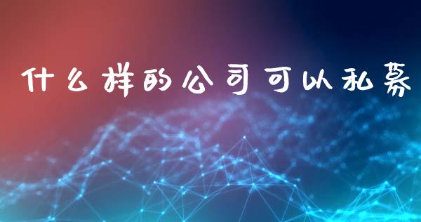 什么样的公司可以私募_https://wap.yjjixie.cn_港股行情_第1张