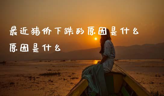 最近猪价下跌的原因是什么原因是什么_https://wap.yjjixie.cn_证券市场_第1张