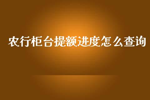 农行柜台提额进度怎么查询_https://wap.yjjixie.cn_证券市场_第1张