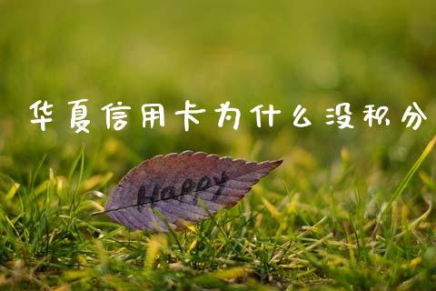 华夏信用卡为什么没积分_https://wap.yjjixie.cn_证券市场_第1张